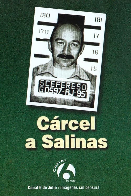 Постер: Cárcel a Salinas