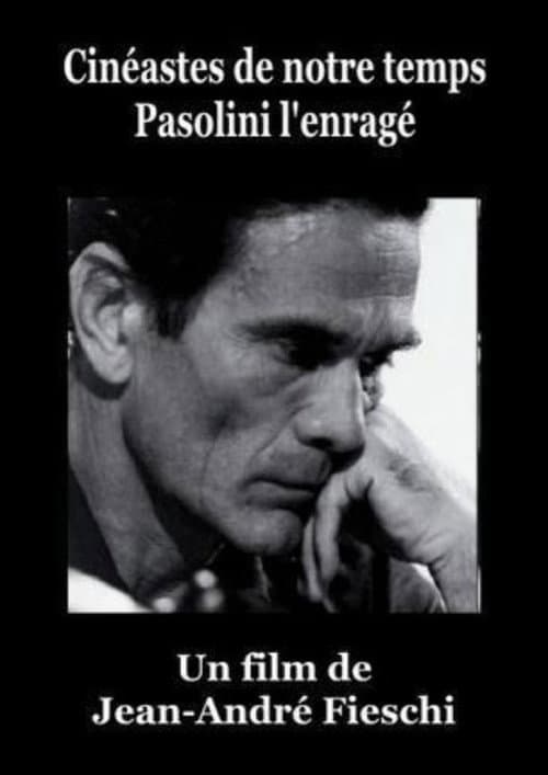 Постер: Pasolini l'Enragé