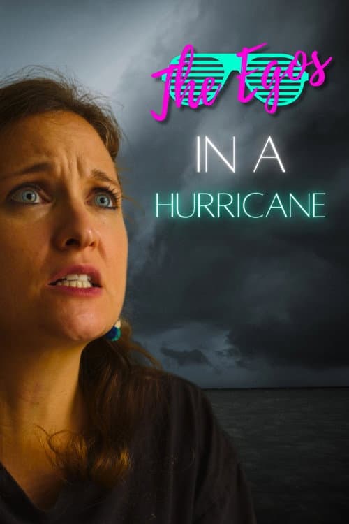 Постер: The Egos in a Hurricane