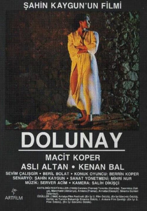 Постер: Dolunay