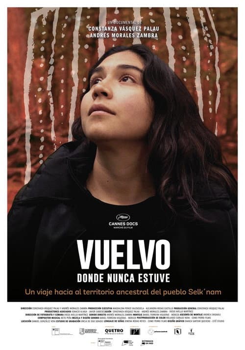 Постер: Vuelvo donde nunca estuve