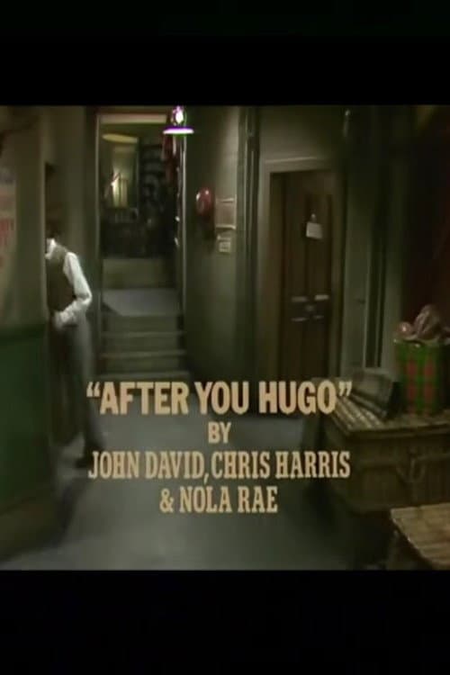 Постер: After You, Hugo