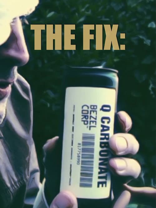 Постер: The Fix:
