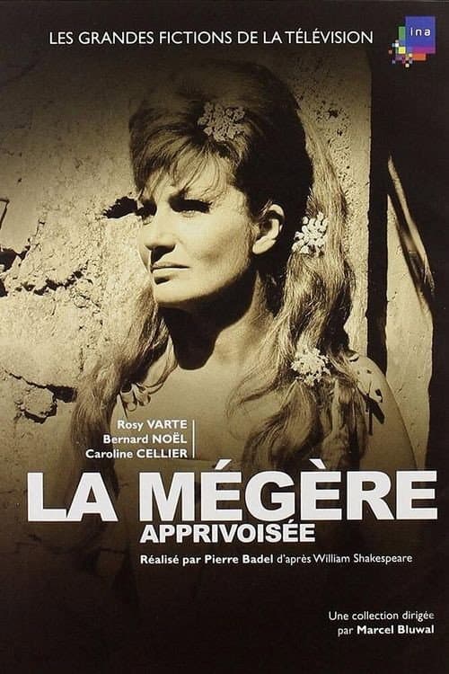 Постер: La Mégère apprivoisée