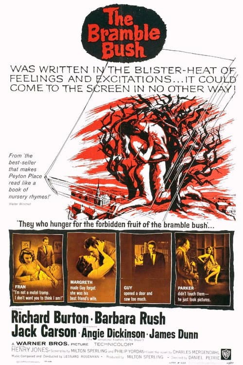 Постер: The Bramble Bush