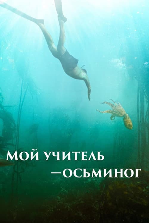 Постер: Мой учитель – осьминог
