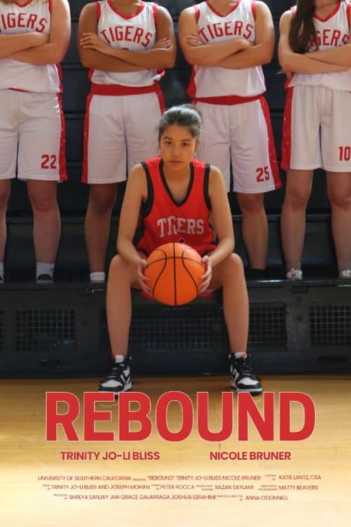 Постер: Rebound