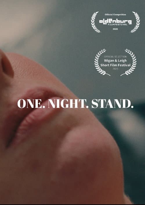 Постер: One Night Stand