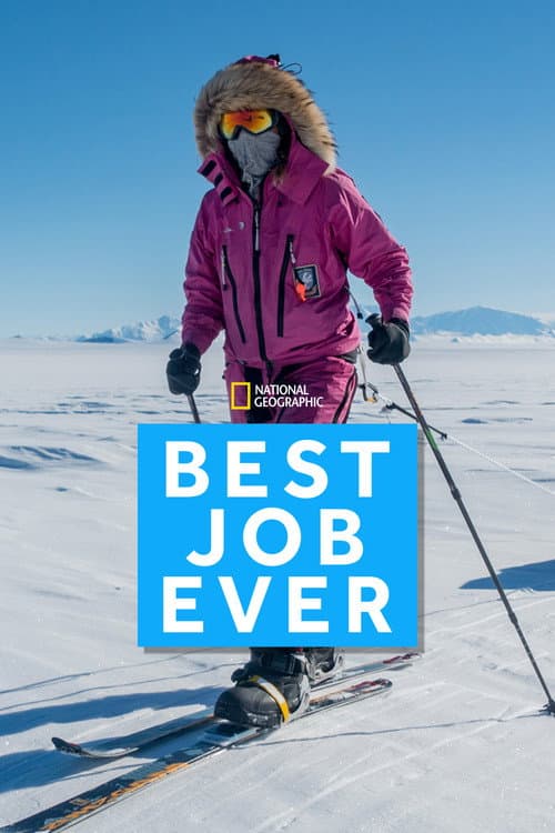 Постер: Best Job Ever