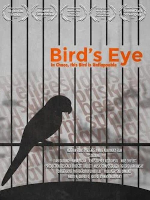 Постер: Bird's Eye