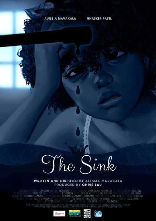 Постер: The Sink