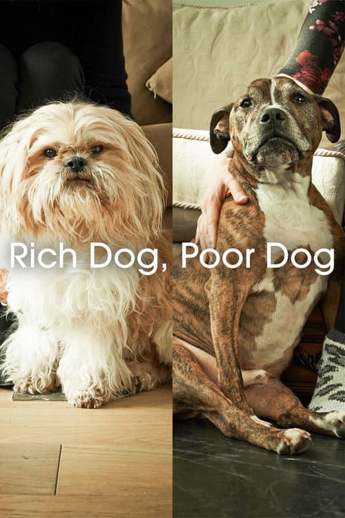 Постер: Rich Dog, Poor Dog