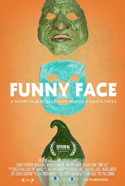 Постер: Funny Face