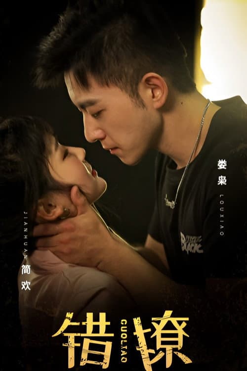 Постер: 错撩