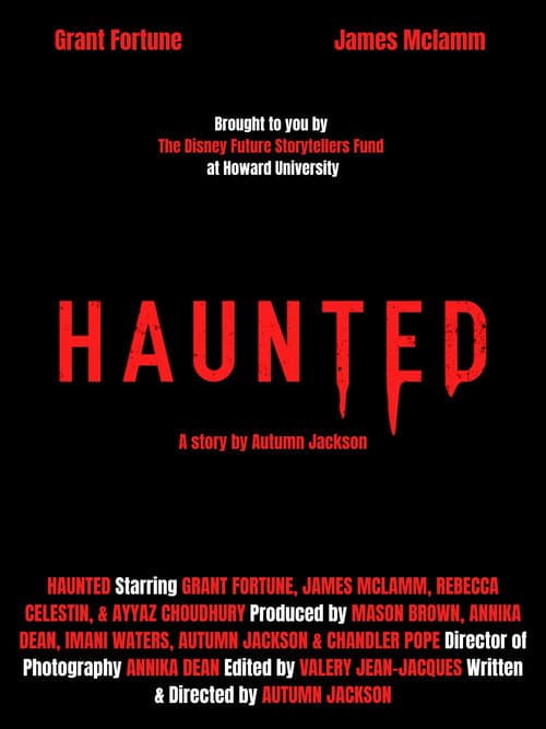 Постер: Haunted