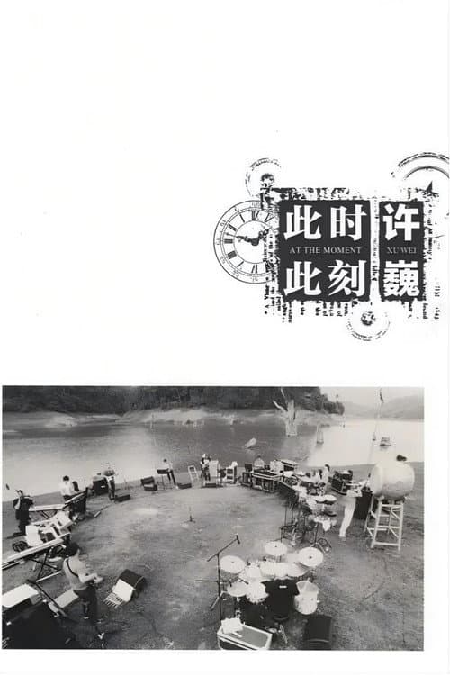 Постер: 许巍:此时此刻 纪录片