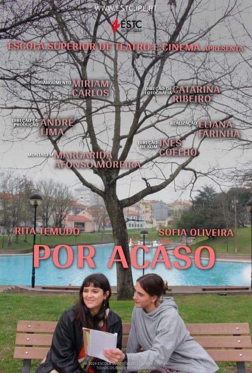 Постер: Por Acaso
