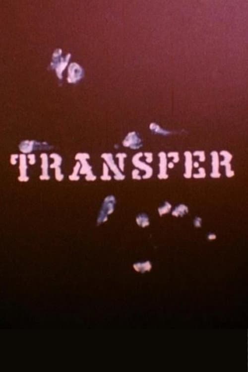 Постер: Transfer