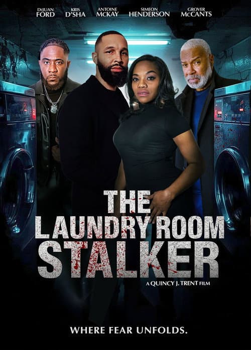 Постер: The Laundry Room Stalker