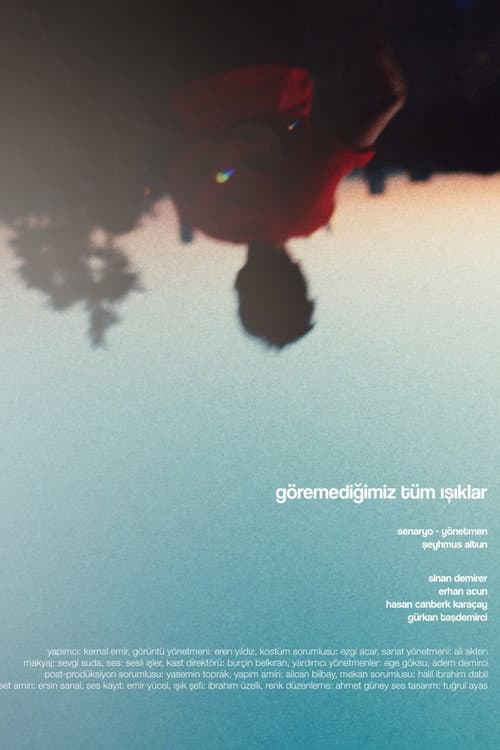 Постер: Göremediğimiz Tüm Işıklar