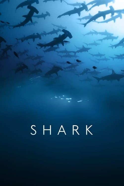 Постер: Shark