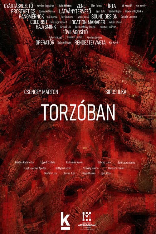 Постер: Torzóban