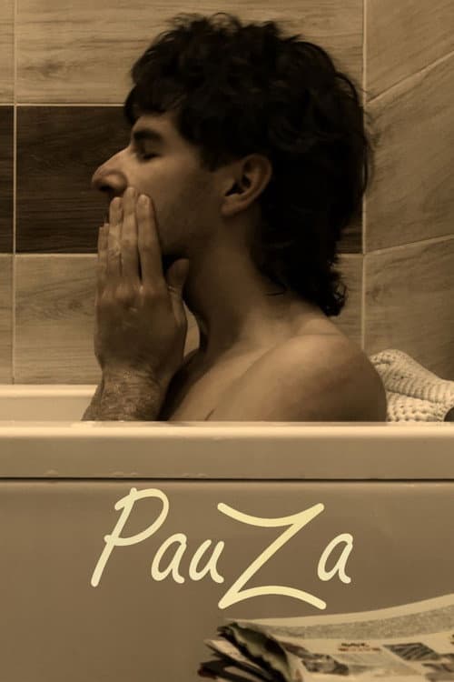 Постер: Pauza