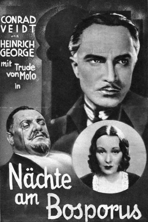 Постер: Der Mann, der den Mord beging