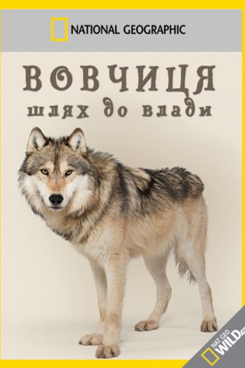 Постер: Wild Yellowstone: She Wolf