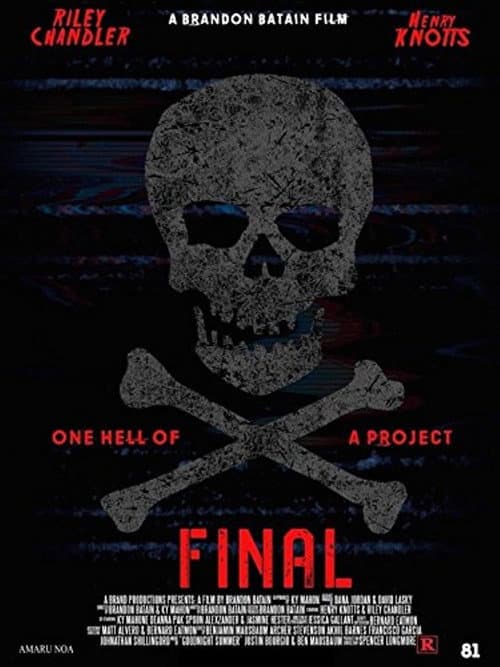 Постер: Final