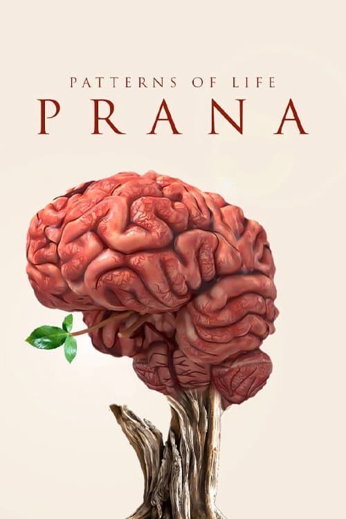 Постер: Patterns of life: Prana