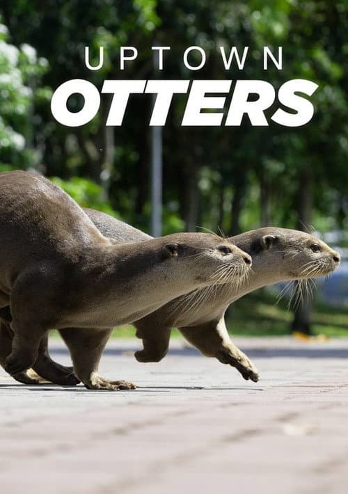 Постер: Uptown Otters