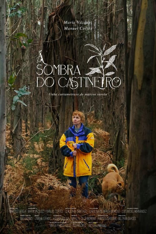 Постер: Á sombra do castiñeiro