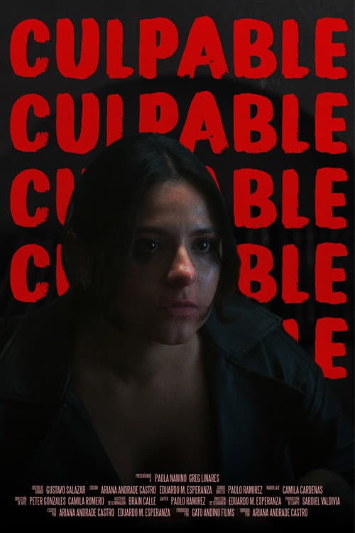 Постер: Culpable