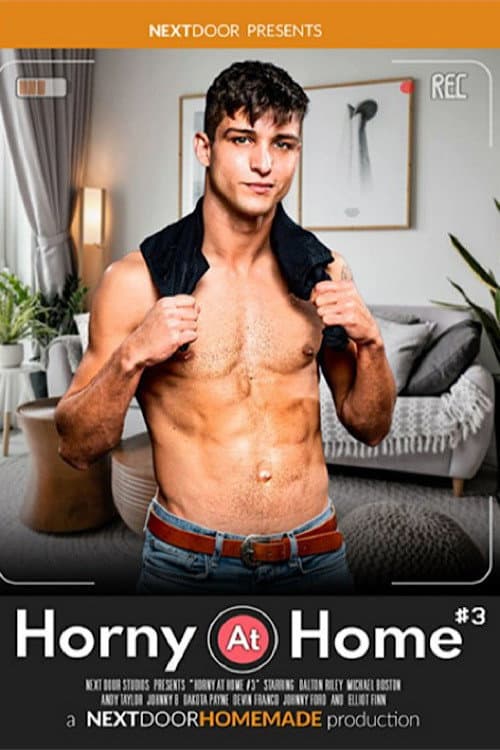 Постер: Horny at Home 3