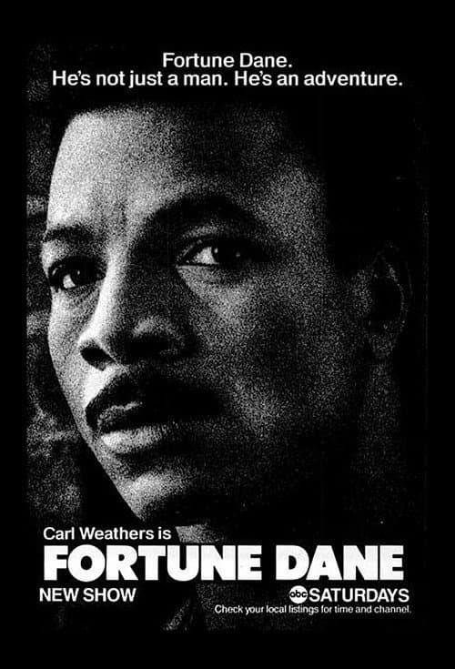 Постер: Fortune Dane