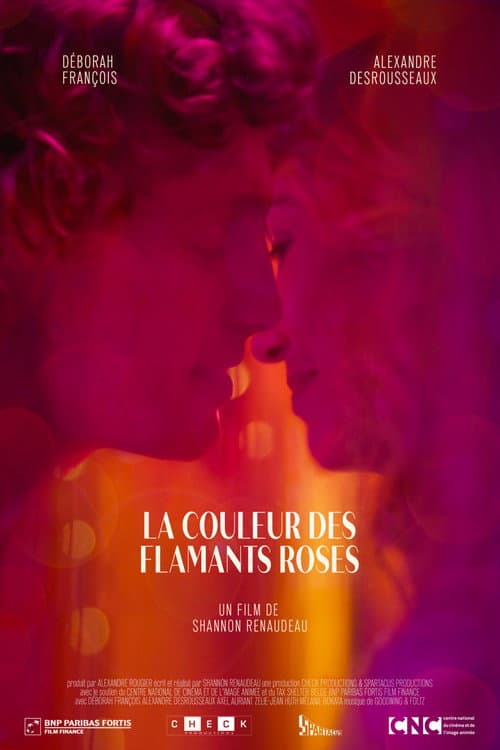 Постер: La couleur des flamants roses