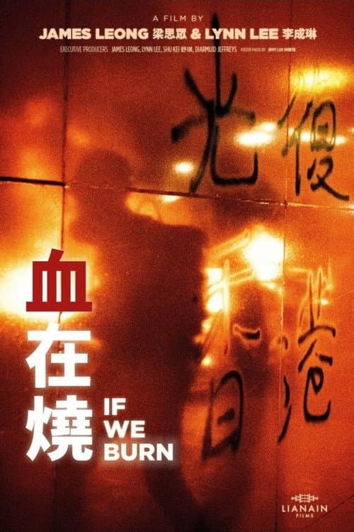 Постер: 血在燒