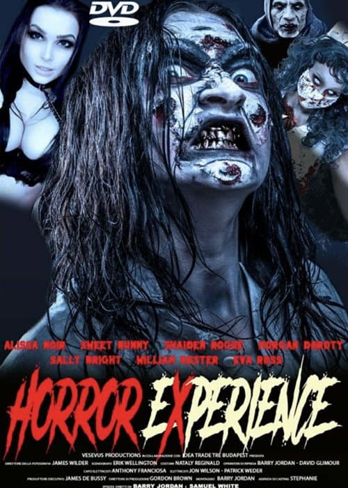 Постер: Horror Experience