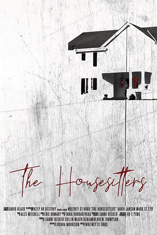 Постер: The Housesitters