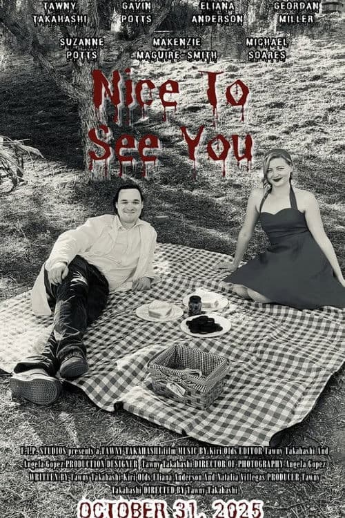 Постер: Nice to See You