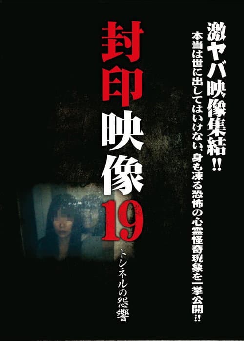 Постер: 封印映像19 トンネルの怨響