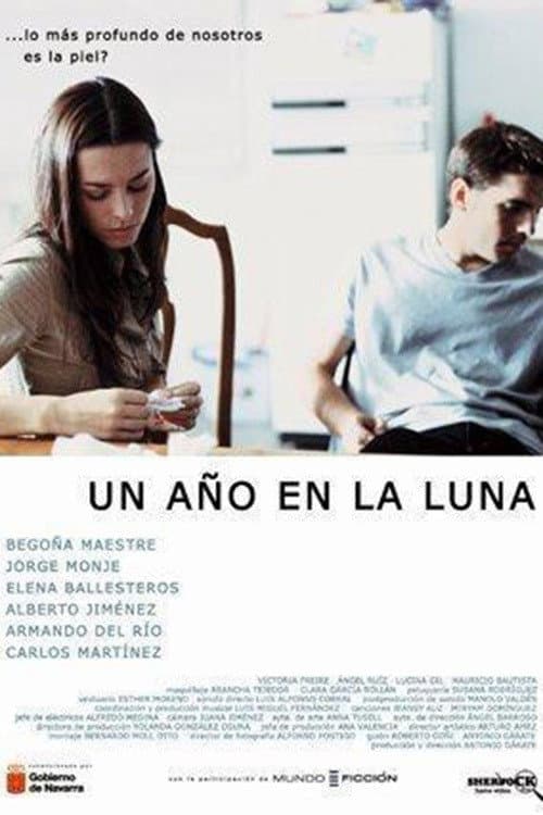 Постер: Un año en la luna