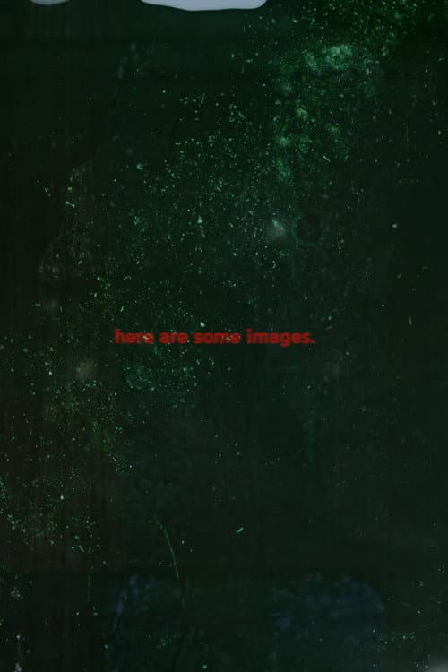 Постер: Here are some Images