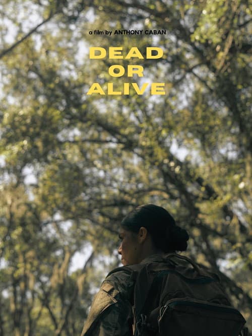 Постер: Dead or Alive