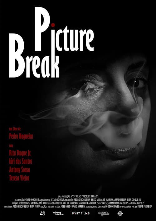 Постер: Picture Break