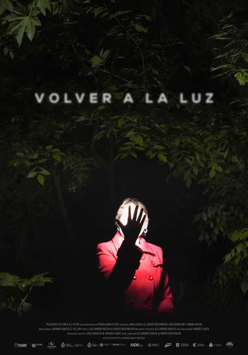 Постер: Volver a la luz