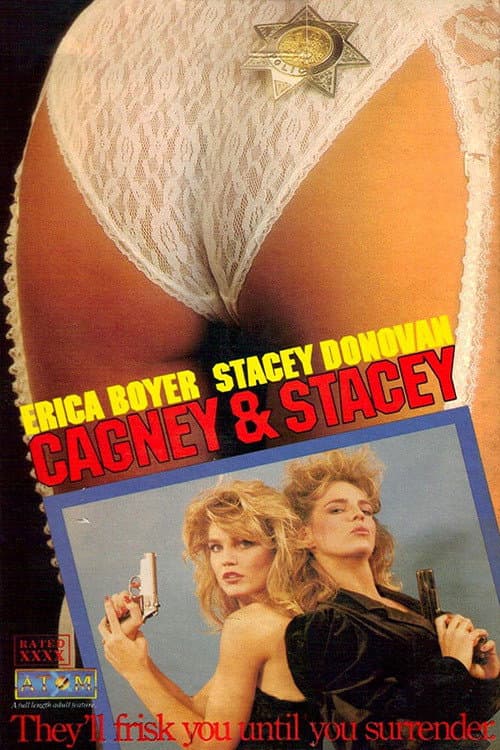 Постер: Cagney & Stacey