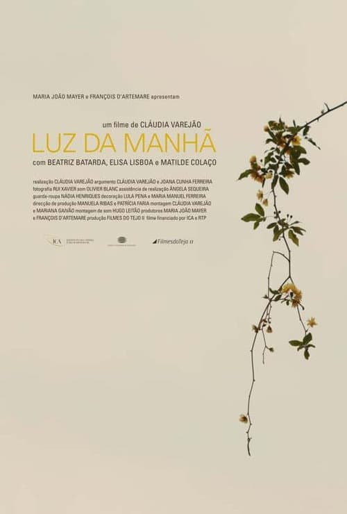 Постер: Luz da Manhã
