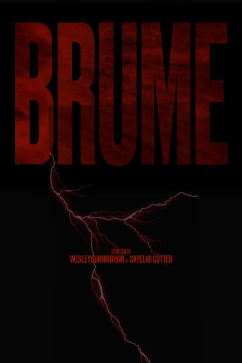 Постер: BRUME